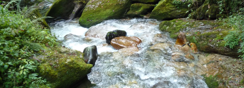 header-fluss-wald1